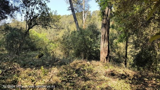 TERRENO 405M2 EN COLLSEROLA, A 2KM DE LA ESTACION DE LA FLORESTA.