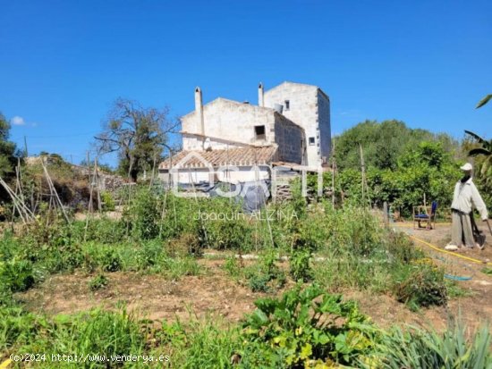 Finca rústica de 25.051m² de terreno en Mahón.