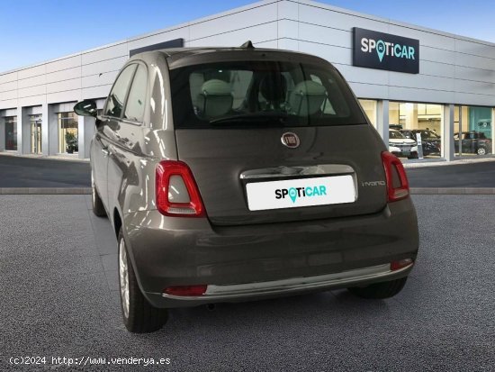 Fiat 500   1.0 Hybrid 51KW (70 CV) Dolcevita - Cadiz