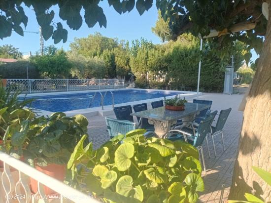 SE VENDE CHALET MUY CERCA DE LA CIUDAD DE ELCHE - ALICANTE