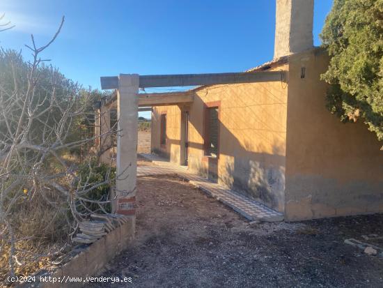 CASA DE CAMPO CON TERRENO EN CREVILLENTE MATOLA !! PARA REFORMAR!! VALLADO !! - ALICANTE