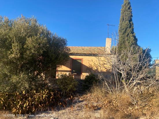 CASA DE CAMPO CON TERRENO EN CREVILLENTE MATOLA !! PARA REFORMAR!! VALLADO !! - ALICANTE