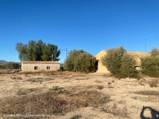 CASA DE CAMPO CON TERRENO EN CREVILLENTE MATOLA !! PARA REFORMAR!! VALLADO !! - ALICANTE