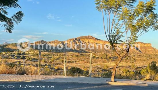 PARCELA EN VENTA  CON LICENCIA Y PROYECTO EN ZONA LOS ALTOS EN ALENDA GOLF. - ALICANTE