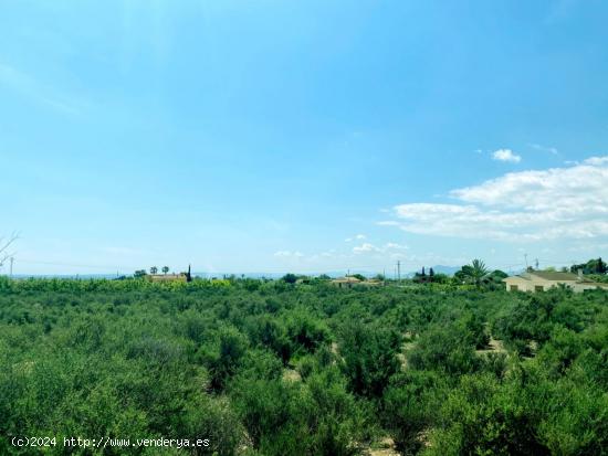 TERRENO A 5 MIN. DE ELCHE/CREVILLENTE CON VISTAS DESPEJADAS - ALICANTE