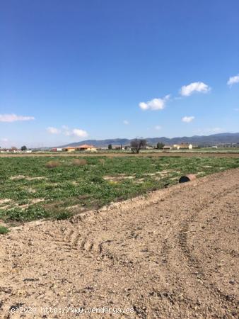 SE VENDE PARCELA RÚSTICA EN LA HOYA DE LORCA - MURCIA