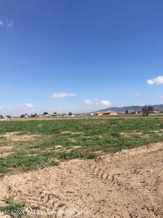 SE VENDE PARCELA RÚSTICA EN LA HOYA DE LORCA - MURCIA