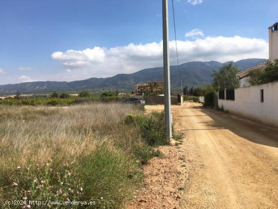 SE VENDE PARCELA EN LIBRILLA - MURCIA