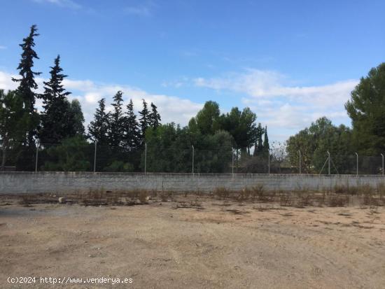  SE VENDE PARCELA DE 2000 M2 CON CASA EN LIBRILLA - MURCIA 