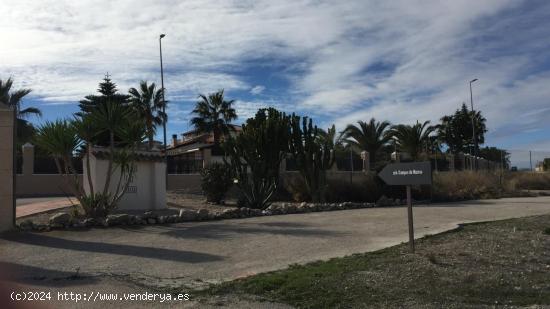 SE VENDE PARCELA EN VILLANUEVA DEL SEGURA, MURCIA - MURCIA