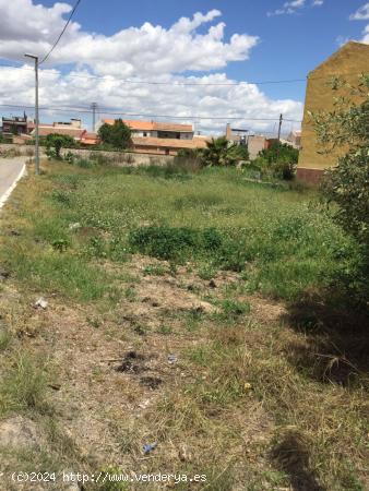  PARCELA DE 500 M2 PARA CASA DE APEROS DE 40 M2 MAXIMO - MURCIA 