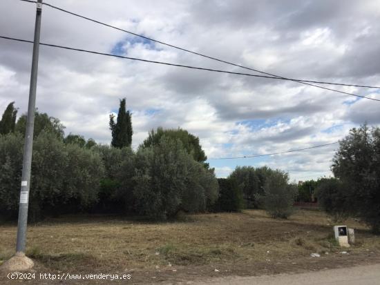 PARCELA DE 1000 M2 EN SANGONERA LA SECA - MURCIA