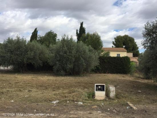 PARCELA DE 1000 M2 EN SANGONERA LA SECA - MURCIA