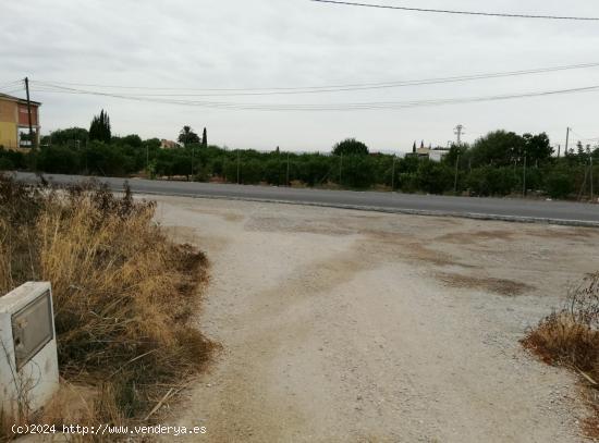 SE VENDE PARCELA URBANA EN RINCON DEL GALLEGO. - MURCIA