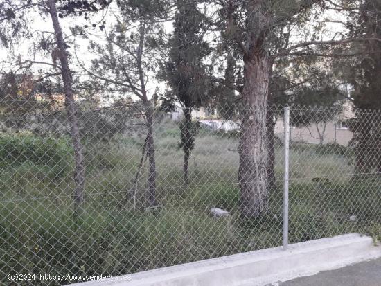 SE VENDE PARCELA URBANA EN EL CHORRICO - MURCIA