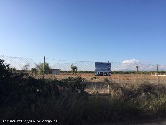 Terreno Librilla  con casa a reformar - MURCIA