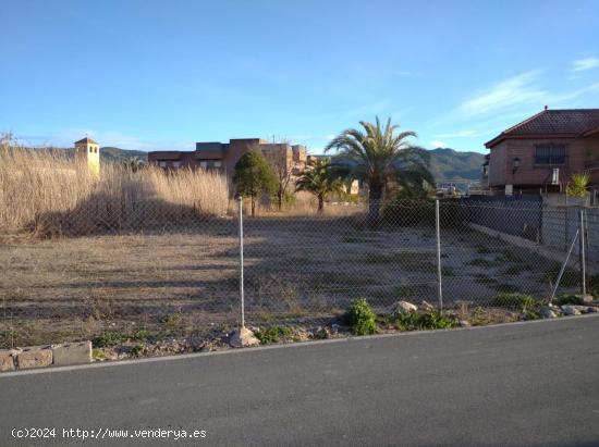  PARCELA EN VENTA EN LOS ALBURQUERQUES, MURCIA - MURCIA 