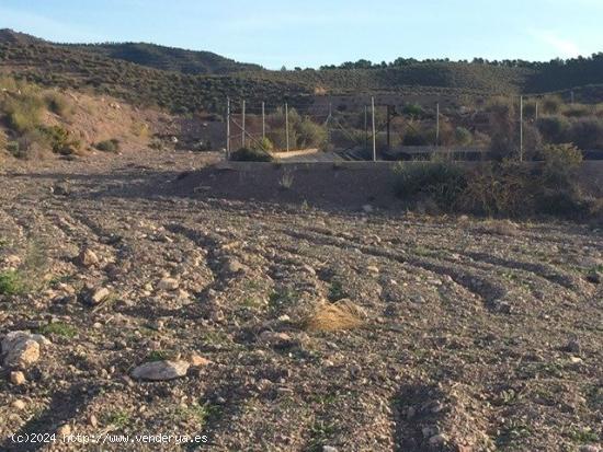 PARCELA  EN LA SALUD, LA HOYA. - MURCIA