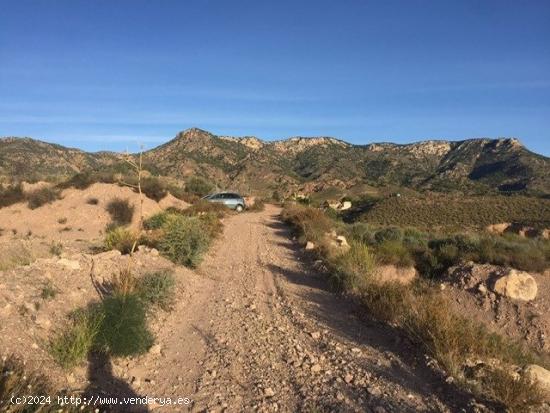 PARCELA  EN LA SALUD, LA HOYA. - MURCIA