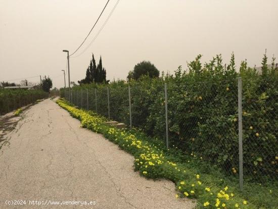  PARCELA EN LLANO DE BRUJAS - MURCIA 