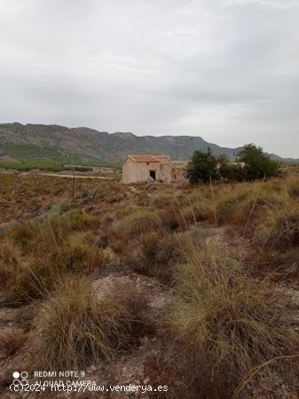 FINCA RÚSTICA EN LA HOYA CON CASA EN RUINAS - MURCIA