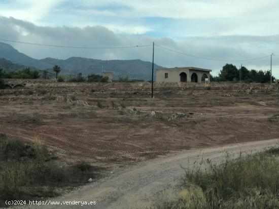 CASA EN TOTANA  CON PARCELA EN MORTI-YECHAR - MURCIA