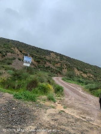 FINCA EN EL GARRUCHAL DE 9000 m2, con agua de riego y luz - MURCIA