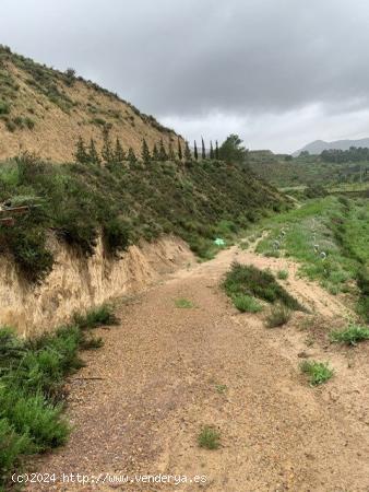 FINCA EN EL GARRUCHAL DE 9000 m2, con agua de riego y luz - MURCIA