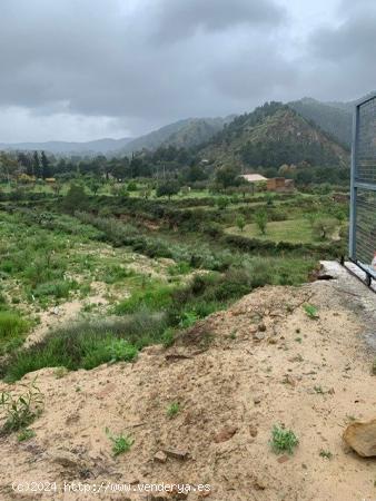 FINCA EN EL GARRUCHAL DE 9000 m2, con agua de riego y luz - MURCIA