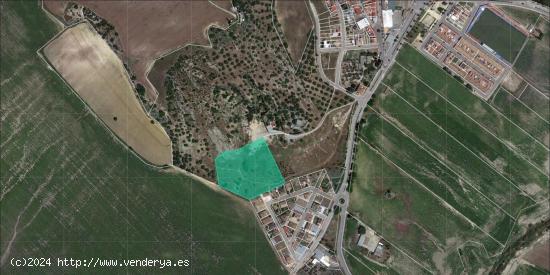 SUELO URBANIZABLE EN VENTA EN ESPERA (CÁDIZ) - CADIZ