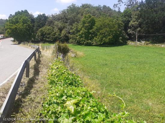 SE VENDE TERRENO RUSTICO EN LASTRAS (RUESGA) - CANTABRIA