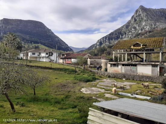 VENTA DE PARCELAS URBANAS EN RAMALES - CANTABRIA