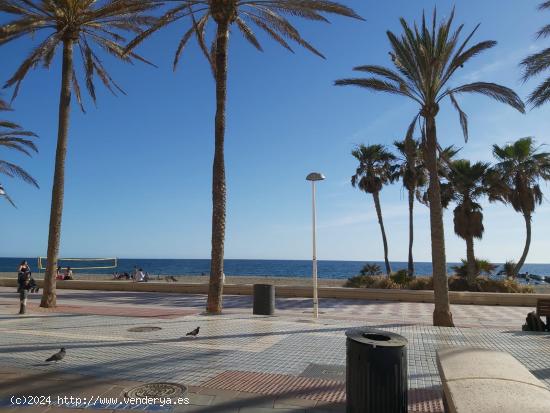  Piso en Almeria zona Zapillo, Cabo de Gata - CINCO  dormitorios dos baños terraza de 80 metros - AL 