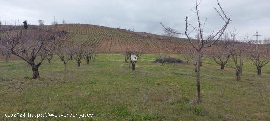  Finca rustica en Toral de Merayo, Ponferrada - LEON 