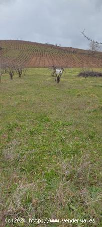 Finca rustica en Toral de Merayo, Ponferrada - LEON