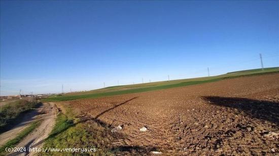 Urbis te ofrece una parcela en venta en Salamanca. - SALAMANCA