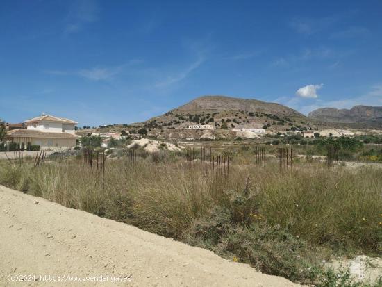 SUELO NO URBANIZABLE EN VENTA, ABANILLA - MURCIA