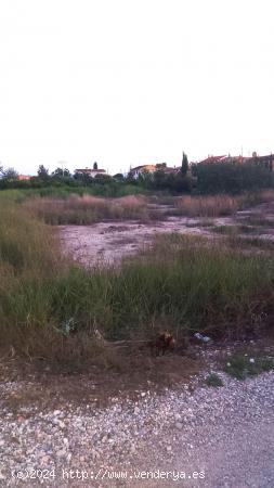 ++Terreno rustico en Alguazas zona Huerta arriba++, 1454 m - MURCIA