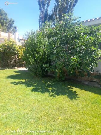 API LUNA INMOBILIARIA VENDE CHALET A 1.5 KM DE LA CIUDAD - ALBACETE