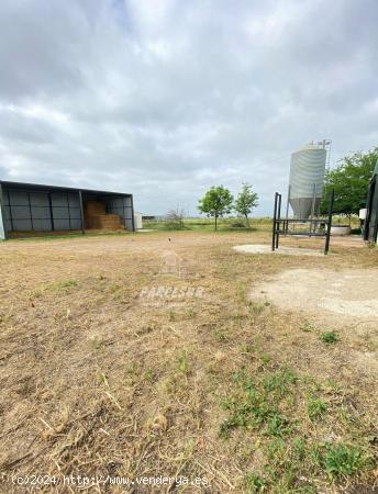  Centro hipico en alquiler, listo para meter animales - CORDOBA 