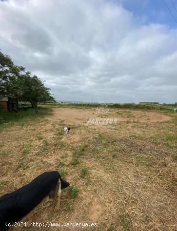 Centro hipico en alquiler, listo para meter animales - CORDOBA