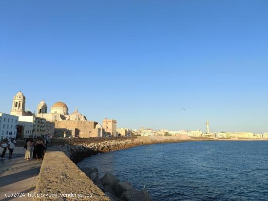 ALQUILER TEMPORADA ESCOLAR CADIZ - CADIZ