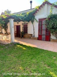 MARAVILLOSA ANTIGUA FINCA DE CACERIA EN LA JARA EN SANLUCAR DE BARRMEDA - CADIZ