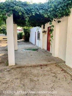 MARAVILLOSA ANTIGUA FINCA DE CACERIA EN LA JARA EN SANLUCAR DE BARRMEDA - CADIZ