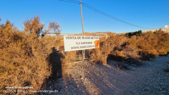 TERRENO RUSTICO DE INVERSIÓN - ALICANTE