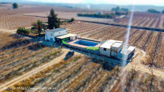 FINCA AGRICOLA CON CASA Y PISCINA EN LA FUENTE DEL PERAL - MURCIA