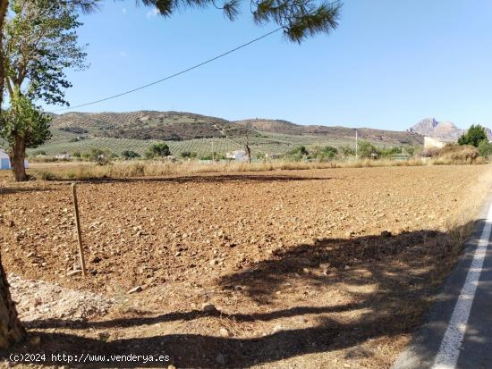 SE VENDE PARCELA, TOTALMENTE LEGALIZADA, EN ZONA DE ARCHIDONA - MALAGA