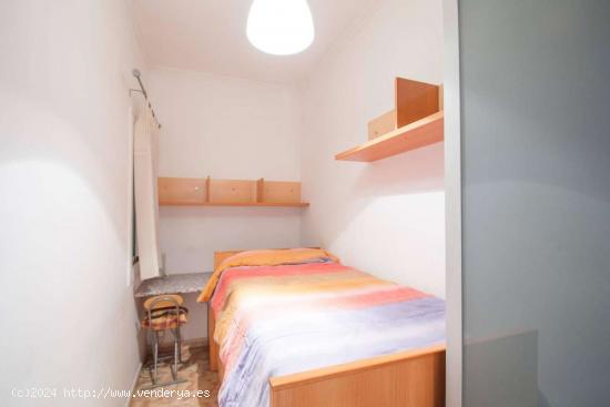 Se alquila habitación en apartamento de 3 dormitorios en Barcelona - BARCELONA