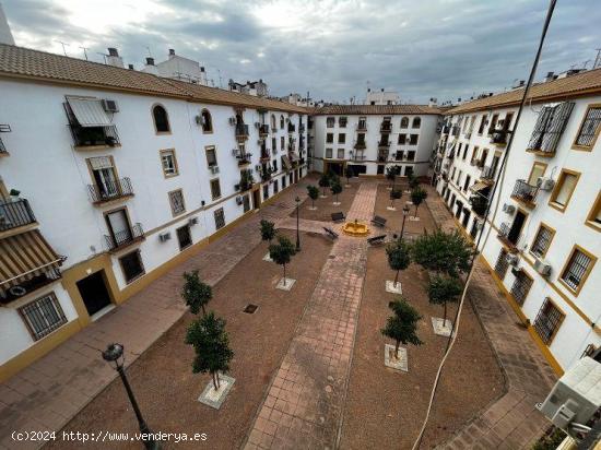 GRAN PISO PARA ENTRAR A VIVIR JUNTO A Mª AUXILIADORA Y COLEGIO SALESIANOS - CORDOBA