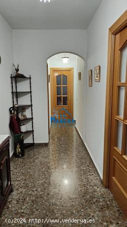 REF: C349 INMOBILIARIA LA MANCHA VENDE PISAZO ZONA CENTRO/AYUNTAMIENTO - ALBACETE